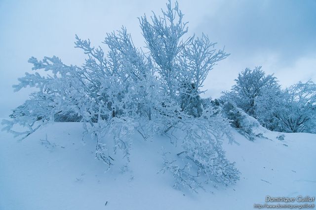 Col des Limouches